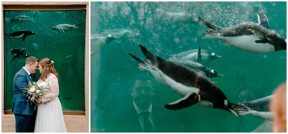 edinburgh zoo, mansion house, wedding, photographer, photography, pictures, pics, photos, scotland, bride, mark mccue