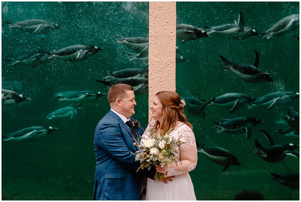 edinburgh zoo, mansion house, wedding, photographer, photography, pictures, pics, photos, scotland, bride, mark mccue, penguins, animals