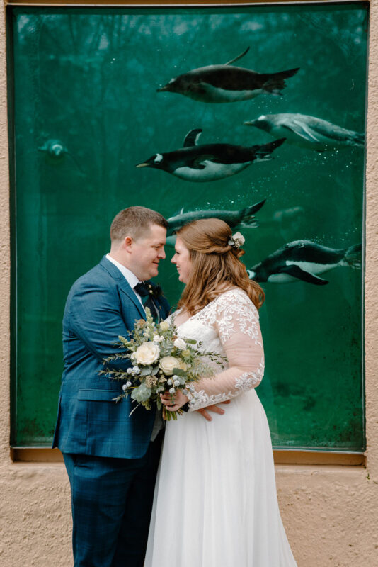 Wedding, photographer, photography, Lanarkshire, Glasgow, Cambuslang, Shotts, photos, Edniburgh, Zoo, Penguins